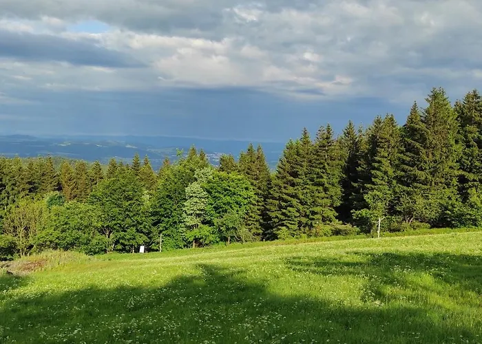 Silvestrovska Horska Az Pro 30 Lidi 木屋 Horni Krupka